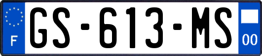 GS-613-MS
