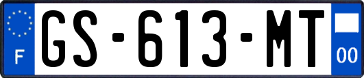 GS-613-MT