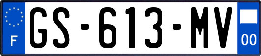 GS-613-MV