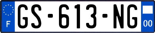 GS-613-NG