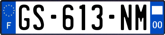 GS-613-NM