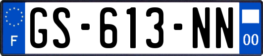 GS-613-NN
