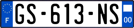 GS-613-NS