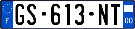 GS-613-NT