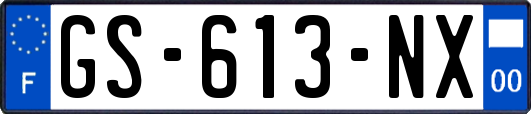 GS-613-NX