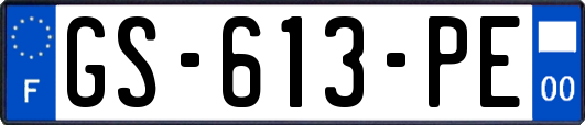 GS-613-PE