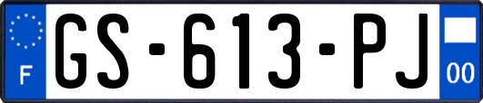 GS-613-PJ