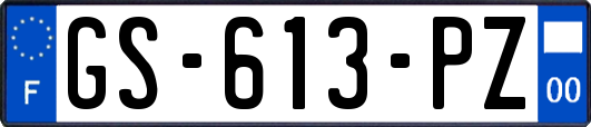 GS-613-PZ