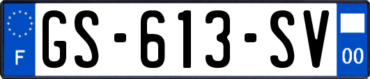 GS-613-SV