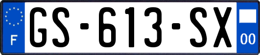 GS-613-SX