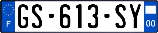 GS-613-SY