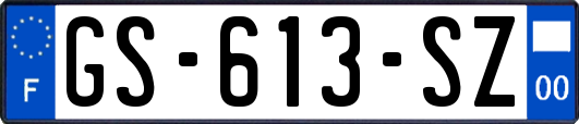 GS-613-SZ