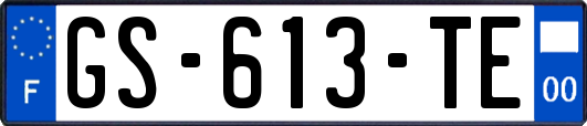 GS-613-TE