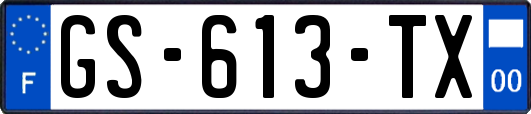 GS-613-TX