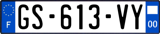 GS-613-VY