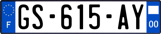 GS-615-AY