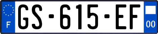 GS-615-EF