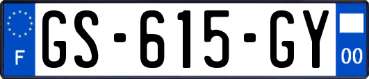 GS-615-GY