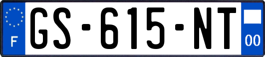 GS-615-NT