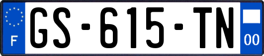 GS-615-TN