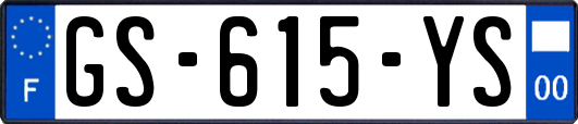 GS-615-YS