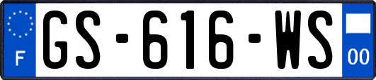 GS-616-WS