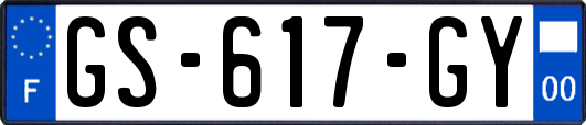 GS-617-GY