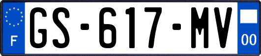 GS-617-MV