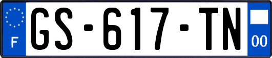 GS-617-TN