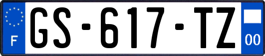 GS-617-TZ