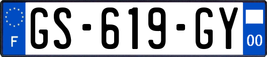 GS-619-GY