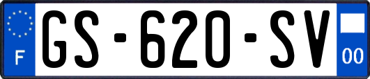 GS-620-SV
