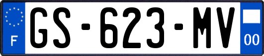 GS-623-MV