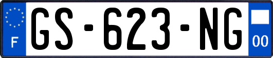 GS-623-NG