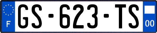 GS-623-TS