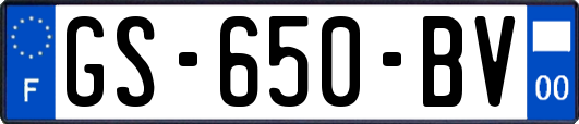 GS-650-BV