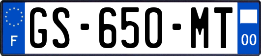 GS-650-MT