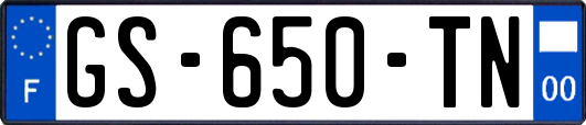 GS-650-TN