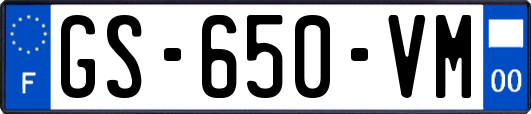 GS-650-VM