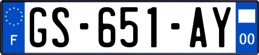 GS-651-AY