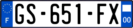 GS-651-FX