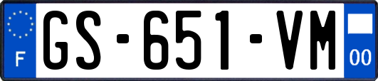 GS-651-VM