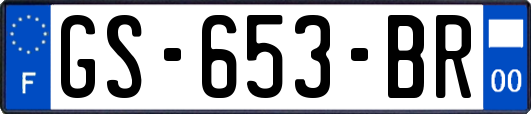 GS-653-BR
