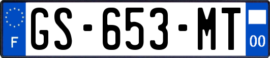 GS-653-MT