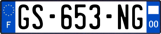 GS-653-NG