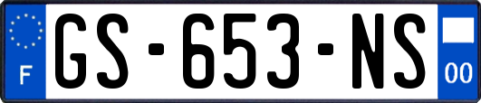 GS-653-NS