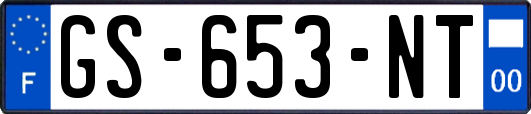 GS-653-NT