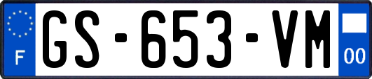 GS-653-VM