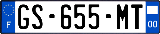 GS-655-MT
