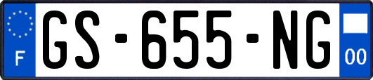 GS-655-NG